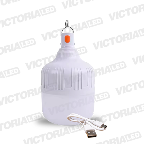 FOCO LED RECARGABLE 50W 6500K 30U/C