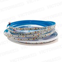 CINTA LED 5M IP20 10MM 240LED 6500K 7500LM