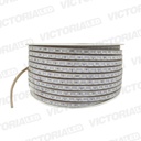 MANGUERA LED MG-5050 10MM RGB 1 METRO